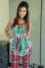 Neha Deshpande at Dil Deewana Press Meet